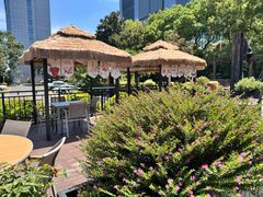 -松茸小馆·云南特色餐厅