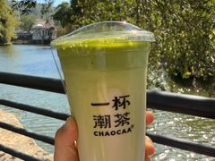 -一杯潮茶·专注潮汕茶饮(朝阳庄店)