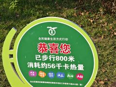 -飞凤山奥体公园