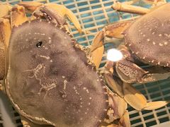 -拉完海鲜大排档(温岭店)