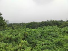 -滨河世纪广场公园