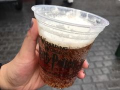 -哈利波特魔法世界