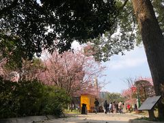 -南山植物园