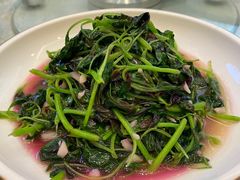 -九头鸟酒家(四道口店)