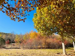 -北京西山国家森林公园