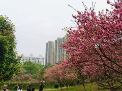 -堤角公园