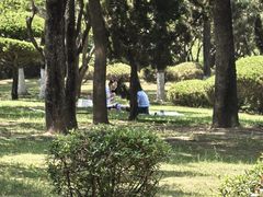 -日照灯塔风景区