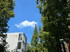 -CoCo都可(十全东店)