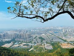 -惠山国家森林公园