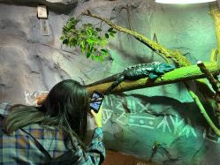 -Zoolung Zoolung动物主题公园(海信广场店)