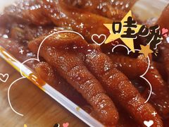 -爪爪西施