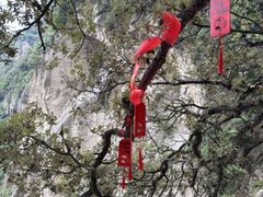 -洛阳白云山景区