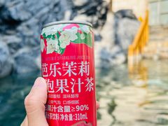 -和园景逸大酒店朗月汤泉