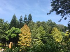 -云溪植物园