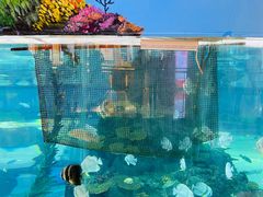 -鸿通城购物中心