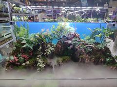 -朝来春花卉市场