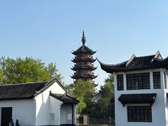 -红梅公园