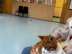 -萌兽医馆·犬猫专科·眼科中心·宠物医院(朝阳门分院)