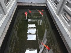 -鲤院·新中式美学·庭院餐厅(夫子庙店)