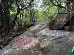 -乌山风景区