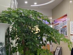-慈铭体检(凯旋路分院)
