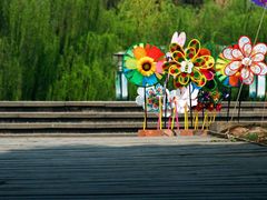 -三圣花乡旅游区