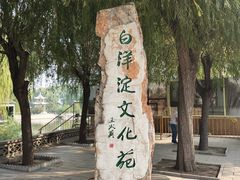 -白洋淀景区