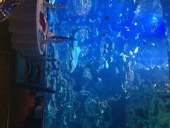 iphone_upload_pic-迪拜帆船酒店海底餐厅