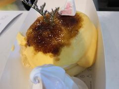 -狐狸和向日葵(北京路店)