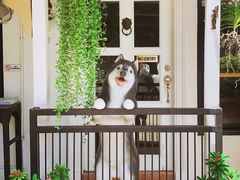 -TrueLove @ Neverland (Husky Cafe)