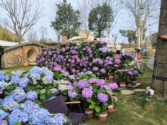 -HERRE·FARM 赫尔露营农场·团建聚会包场