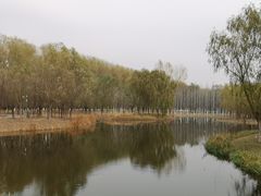 -东郊湿地公园