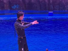 -华夏文旅西安度假区