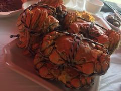 -乡乐园蟹庄·阳澄湖农家乐