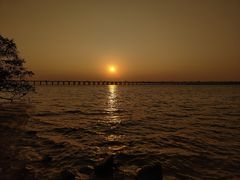 -宝安西湾红树林湿地公园