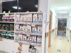 -宠福鑫动物医院·动物疾病诊疗中心(天通苑店)