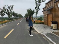 -荷花荡