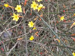 -永定河休闲森林公园