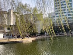 -团结湖公园