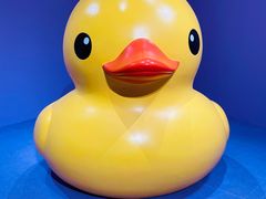 -上海宝龙美术馆