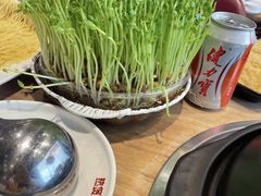 -好彩猪肚鸡(正弘城店)