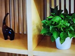 -尚荟汤泉生活馆