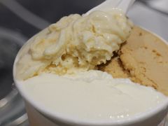 -Dip in Gelato(富民路店)