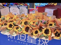 -斯坦星球AI编程·机器人科创·科学实验·信奥·思维·STEM·乐高·竞赛考级(长宁虹桥大融城荟聚中心)