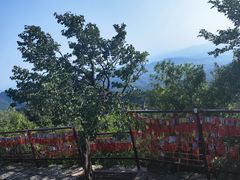 -香山公园