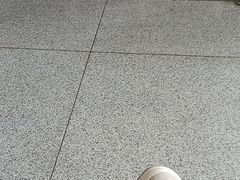 -德州站
