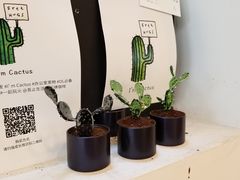 -无牌咖啡&酒馆