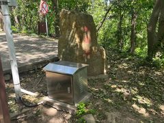 -上海佘山国家森林公园天马山园