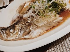 清蒸白丝鱼-逸林轩中餐厅(中信泰富朱家角锦江酒店)