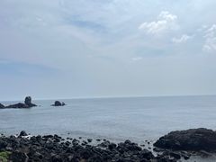 -涉地可支